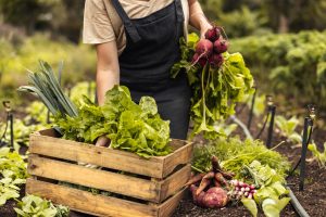 Understanding the Benefits of Organic Living: A Path to Healthier Choices